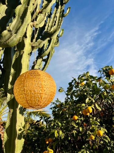 Casa Pipa Alhaurín el Grande - vrijstaande casita met privé zwembad en grote tuin