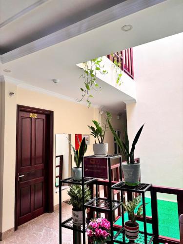 닌빈 Hoàng Hải Anh Hotel (Hoang Hai Anh Hotel) 호텔 전망