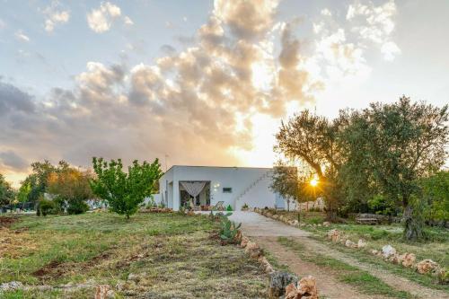 Stone Farmhouse Among Olive Trees Near Ostuni
