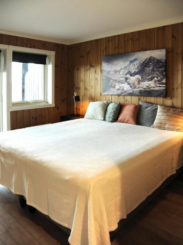Apartment in Gol Skisenter in 高尔