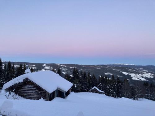 Apartment in Gol Skisenter in 高尔