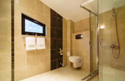 Spa Hotel Planinata - image 11
