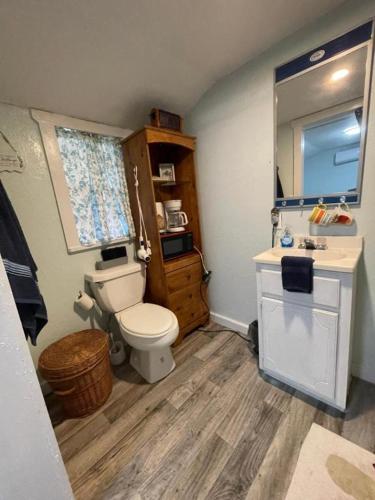 Neals Nest Cozy Cabin in 奇夫蘭