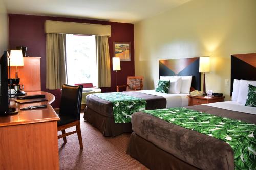 Sleep Inn Paseo Las Damas San Jose in San Jose