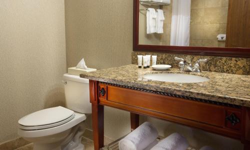 Holiday Inn Portland - Columbia Riverfront, an IHG Hotel