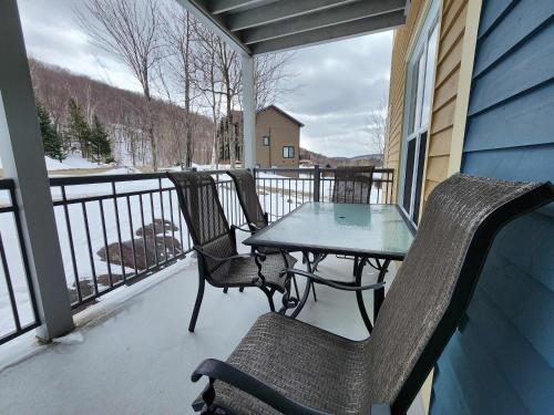 Neve Pool & beach in the heart of Mont-Blanc in Saint-Faustin-Lac-Carré (QC)