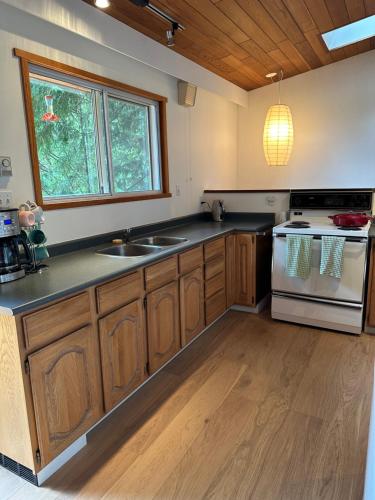 廚房, Ocean Vista In the Woods on Saltspring Island in 盬泉島 (BC)