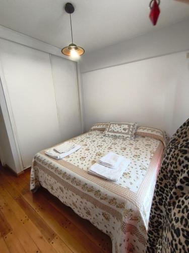 Departamento Manso 1