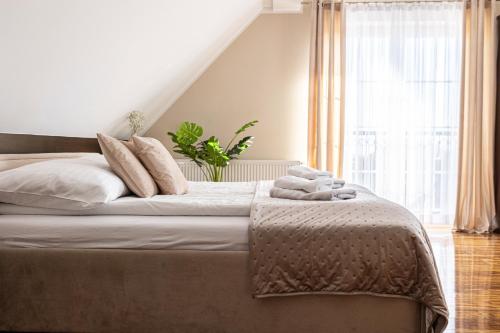 1 double bed, 1 sofa bed