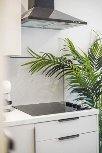 кухня, Modern 1 Bed Flat, Helensburgh. in Хеленсбург