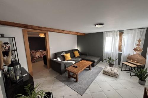 Beautiful apartment of 67 m2 near Strasbourg - Location saisonnière - Bischheim