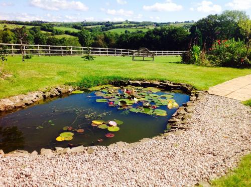 Fernside Bed and Breakfast - image 4