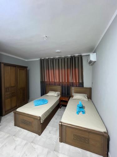 Gamandy Hostel - image 2