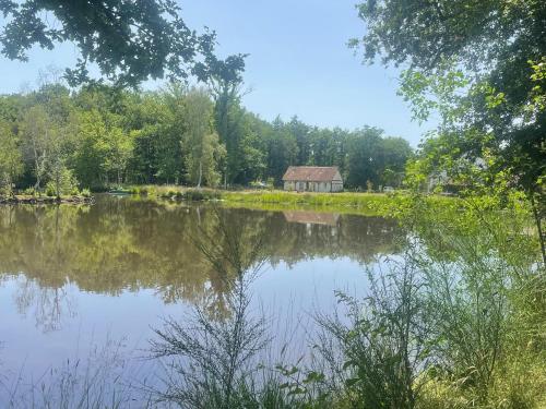 Gîte cosy en Sologne, nature et pêche, tout inclus - FR-1-590-549 (Gite cosy en Sologne, nature et peche, tout inclus - FR-1-590-549) in Cerdon