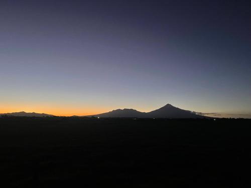 Ocean Shores Warea in Okato