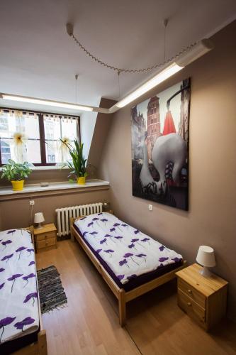 Hostel Universus - image 3