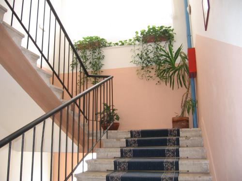 Hotel Veli Jože - image 6