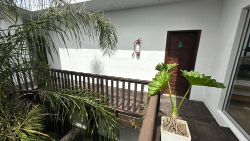 Balconada Rooms in La Paloma