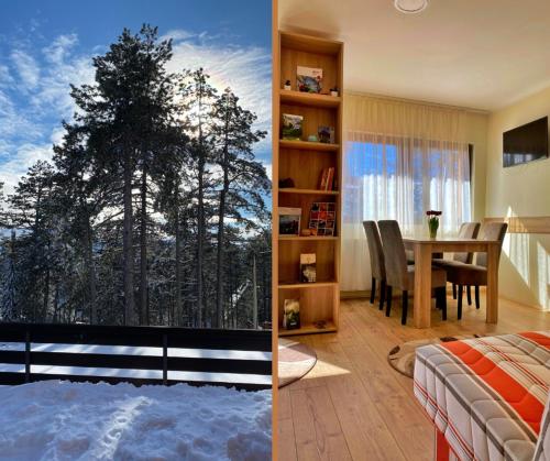 Vila Mirjana Tara - Apartment - Kaludjerske Bare