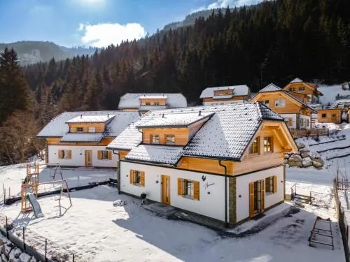 Auerhahn in Donnersbachwald, Österreich