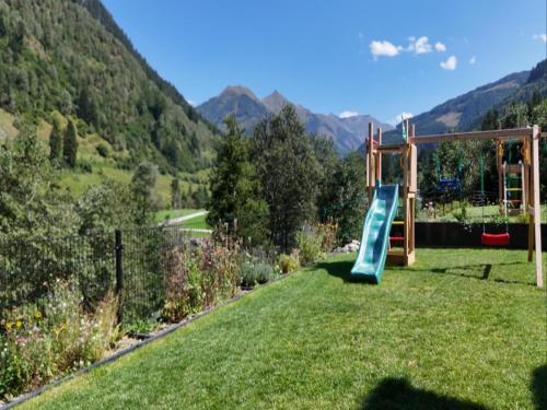 Auerhahn in Donnersbachwald, Österreich
