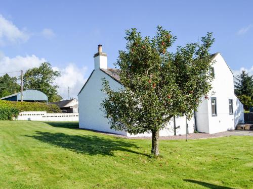 Сад, West Lanegate Farmhouse in Коллін