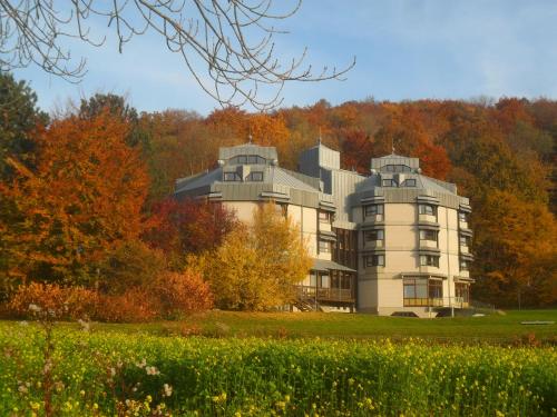 Hellmut-Waßmer-Jugendherberge Lörrach - Accommodation