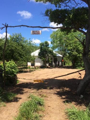 . Camp Zora Selous