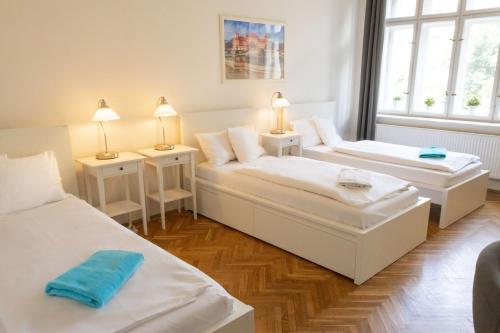 Apartments 5 minutes walk from Old Town - 102 m2 w balcony, view, shower plus bath, Praha (fotografie 3)
