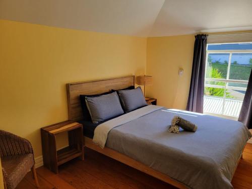 Endless Summer Lodge - Guesthouse in Ahipara
