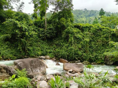 Surrounding environment, Murti River View Retreat By StayApart in Kumai Tea Garden