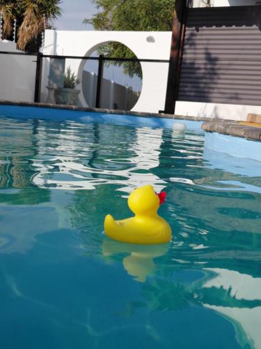 Blue Olive B&B in Gobabis