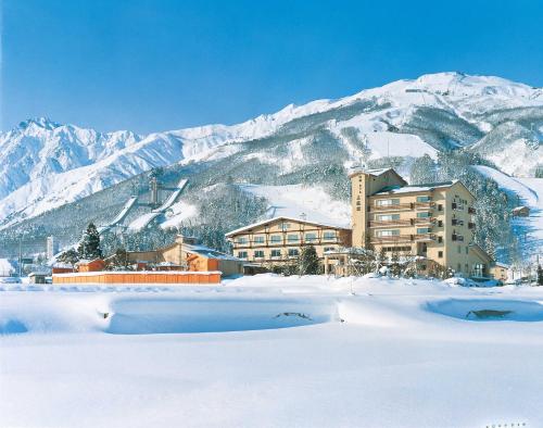 Hotel Goryukan - Hakuba 47