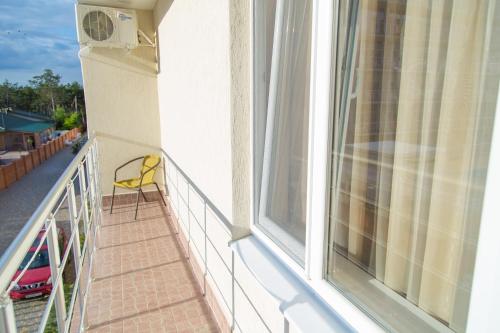 Delfin - image 13