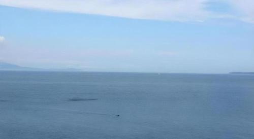 Luxury Wa Hotel Kaze No Kaori