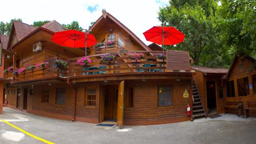 Pensiunea Casa Verde Bucuresti - image 8