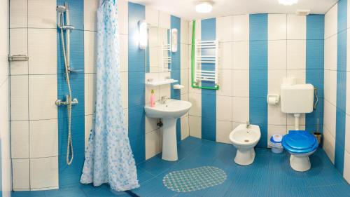 Pensiunea Casa Verde Bucuresti - image 12