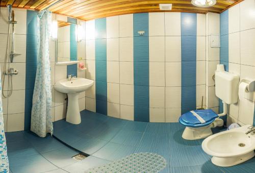 Pensiunea Casa Verde Bucuresti - image 10