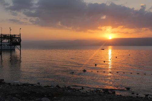 Забавления, Tiberias Heart in Тиверия