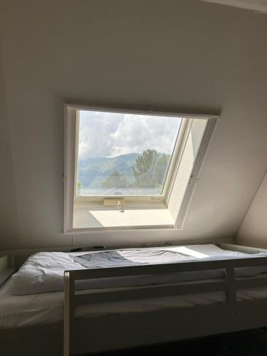 Hakuba Snow Fox – Hakuba, GA