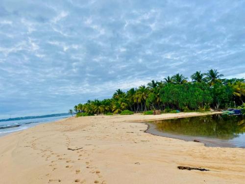 Tropical Heaven in Tangalle