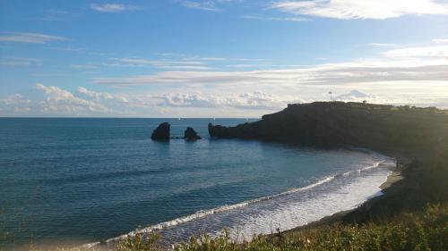 Le Bellevue - image 12