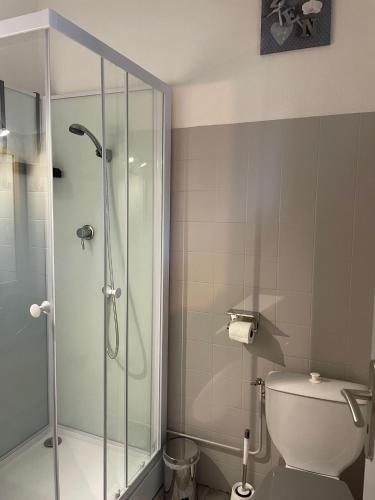 cabină de duș, Appartement calme et charmant in Tarbes