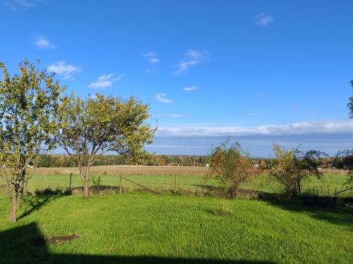 zahrada, Chalupa Vyšní Lhoty (Chalupa Vysni Lhoty) in Nošovice