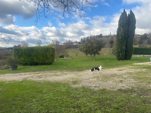 Les collines de chandieu in Chaponnay