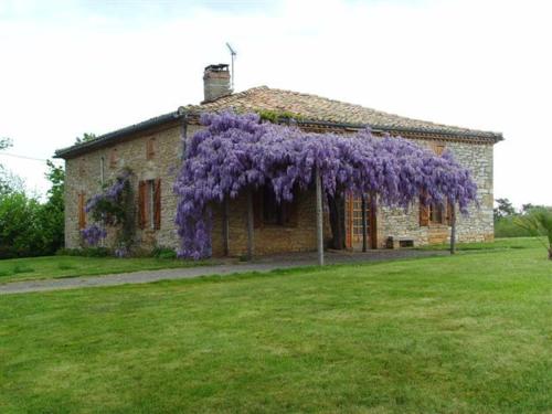 La Plaine in Negrepelisse