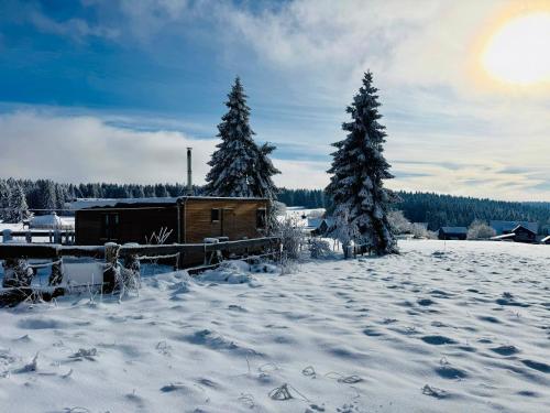 Tiny Chalet Stuga Am Rennsteig mit Kamin und Garten, Hunde Willkommen in Goldisthal