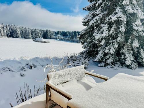 Tiny Chalet Stuga Am Rennsteig mit Kamin und Garten, Hunde Willkommen in Goldisthal