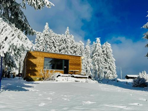Tiny Chalet Stuga Am Rennsteig mit Kamin und Garten, Hunde Willkommen in Goldisthal