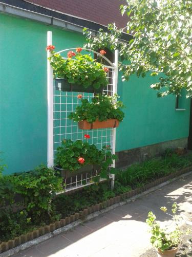  Charlotte House in Budapest